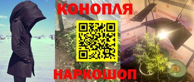 прущие грибы Кумертау