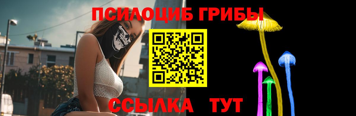 Чебоксары  Галлюциногенные грибы GOLDEN TEACHER  закладки  Вход с VPN  Псилоцибиновые грибы MAGIC MUSHROOMS 